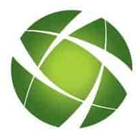 MONEYWISE FINANCIAL SERVICES PRIVATE LIMITED